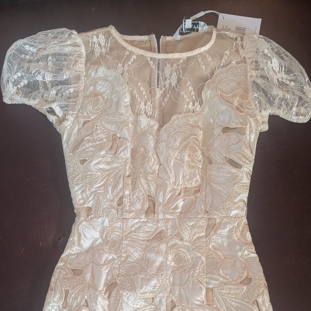 Elliatt Ambient Lace Dress In Champagne Size Small NWT - Picture 15 of 15